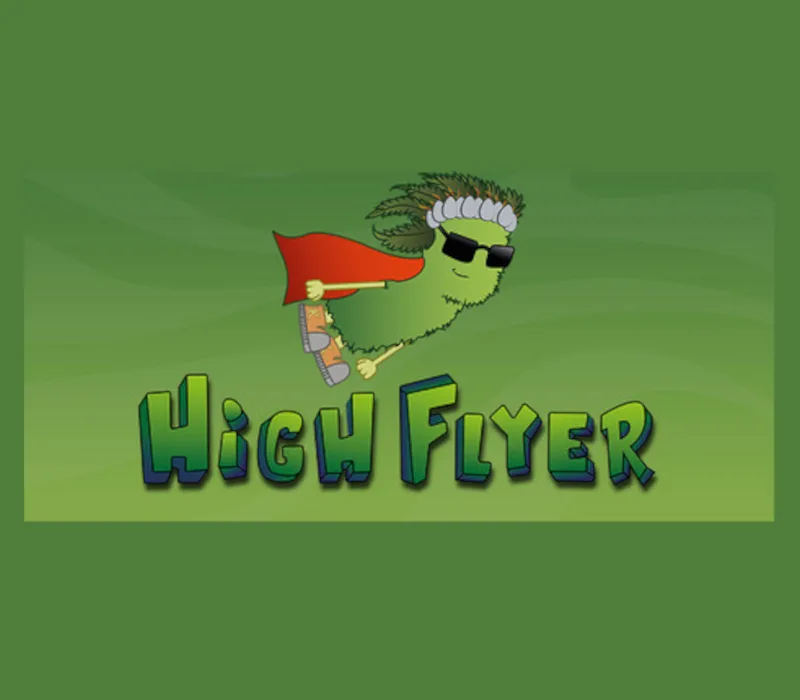 High Flyer - Steam Key (Aktivierungscode)