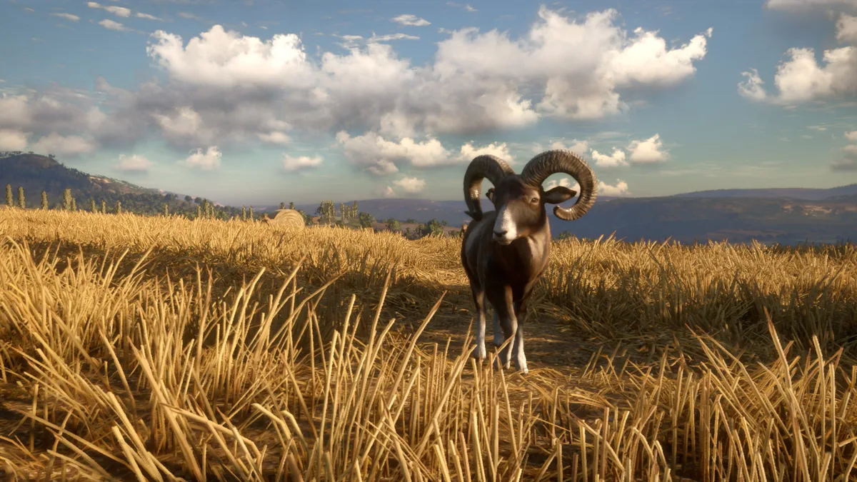 theHunter: Call of the Wild - Cuatro Colinas - Steam DLC (Activation Code) — Bild 2