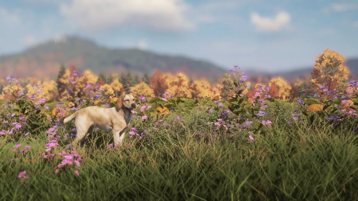 theHunter: Call of the Wild - Labrador Retriever - Steam DLC (Activation Code) — Bild 2